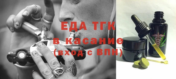 шишки Абаза