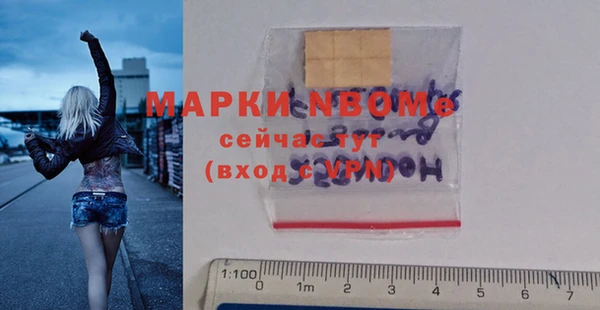 шишки Абаза