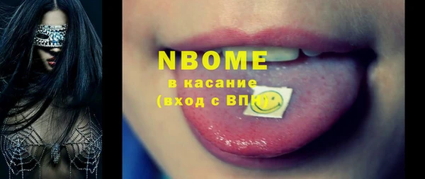 шишки Абаза
