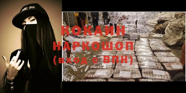 прущие грибы Ветлуга