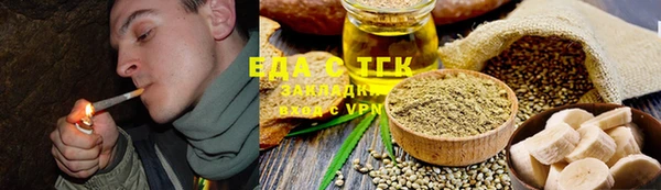 шишки Абаза