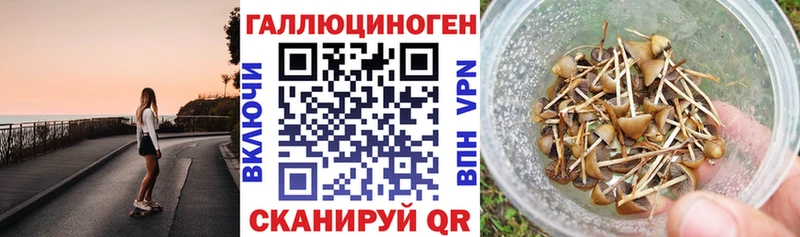 Галлюциногенные грибы Magic Shrooms  Сухиничи 